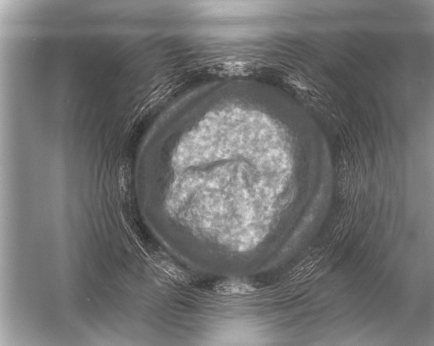 X0000055990747200509162251