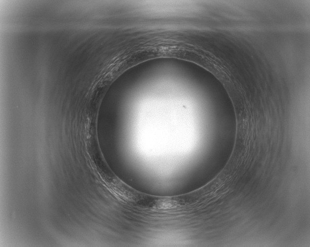 X0000055990750200509162251