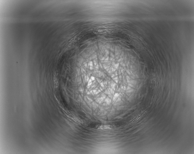 X0000055990751200509162251