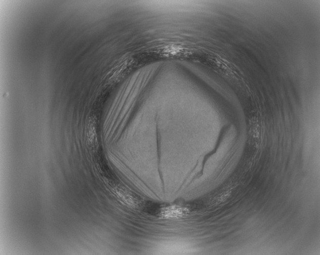 X0000055990754200509162251