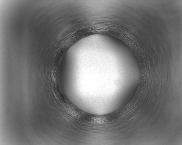 X0000055990755200509162251