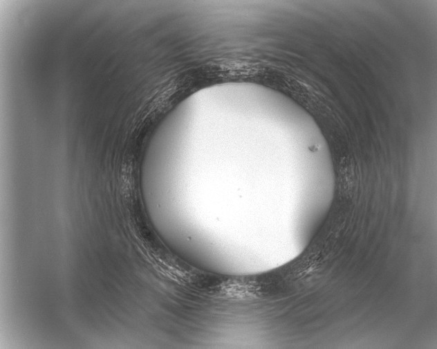 X0000055990756200509162251