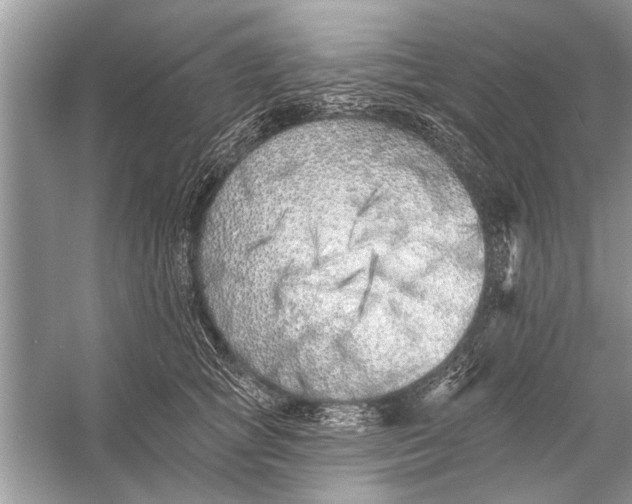 X0000055990757200509162251