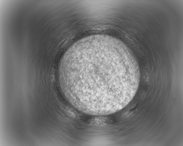 X0000055990758200509162251