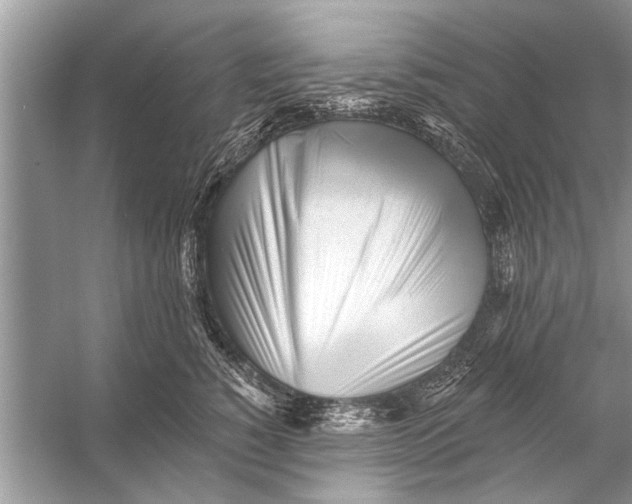 X0000055990760200509162251