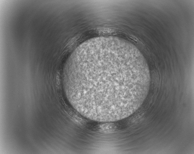 X0000055990761200509162251