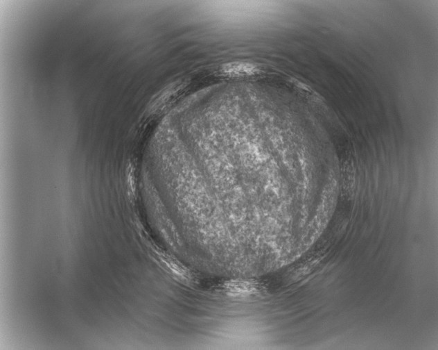 X0000055990762200509162251