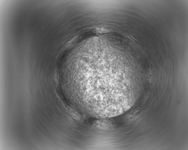 X0000055990763200509162251