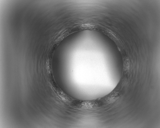 X0000055990764200509162251