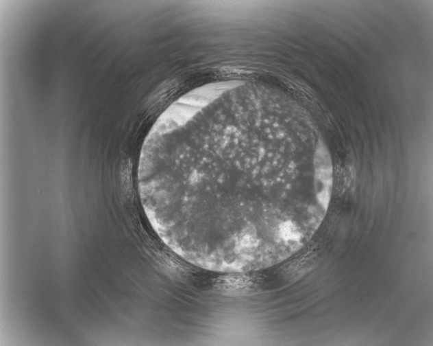 X0000055990765200509162251