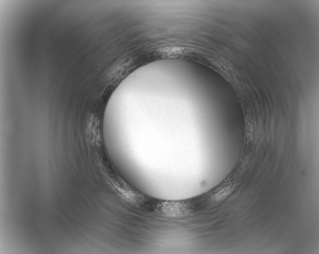 X0000055990766200509162251