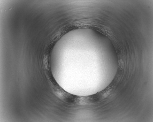 X0000055990767200509162251