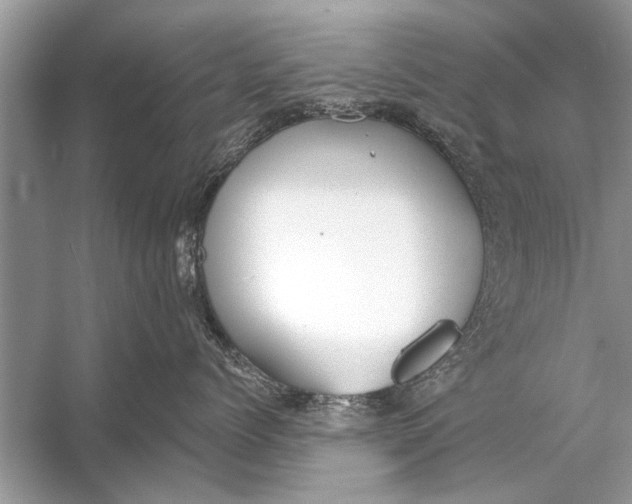 X0000055990768200509162251