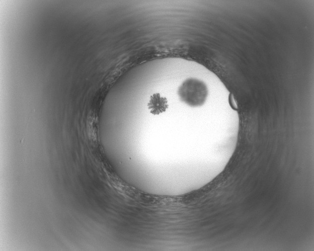 X0000055990770200509162250