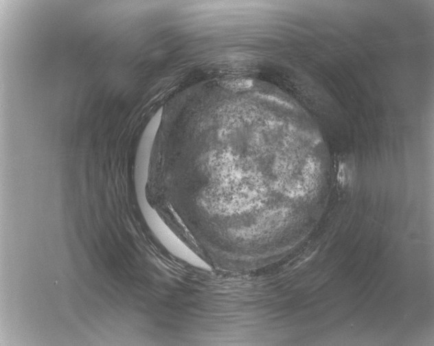 X0000055990771200509162250