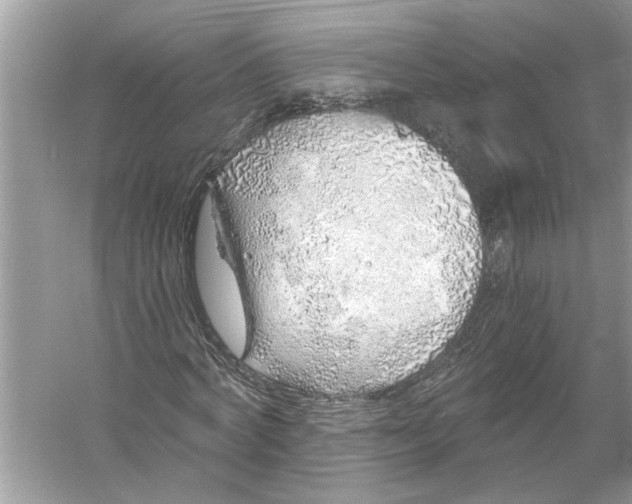 X0000055990772200509162250