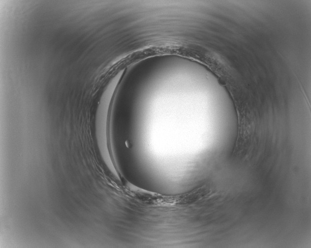 X0000055990773200509162250