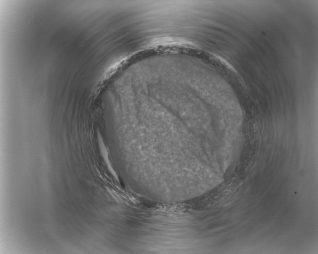 X0000055990775200509162250