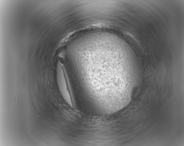 X0000055990776200509162250