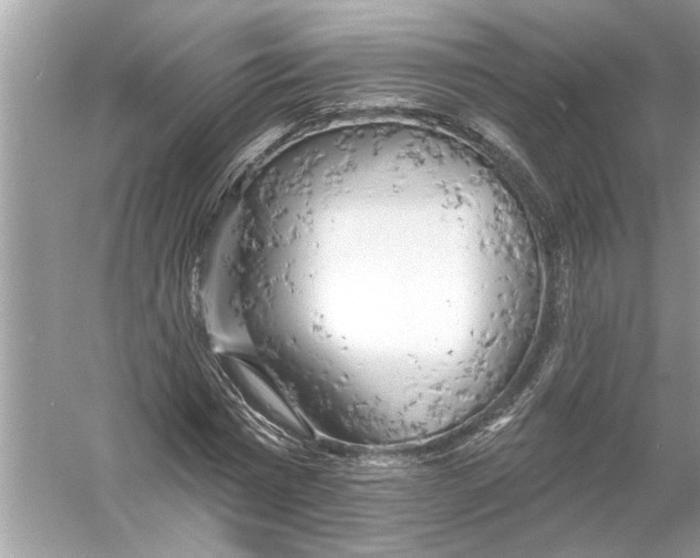 X0000055990777200509162250