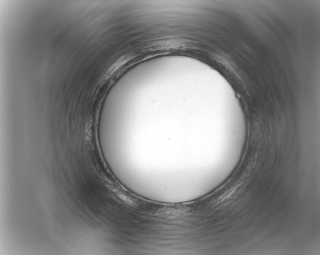 X0000055990778200509162250