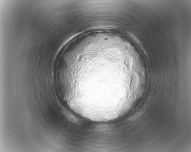 X0000055990779200509162250