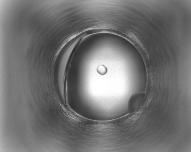 X0000055990781200509162250