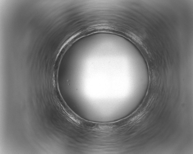 X0000055990782200509162250