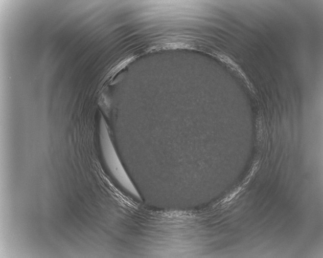 X0000055990785200509162250