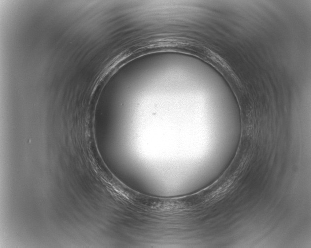 X0000055990786200509162250