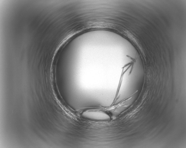 X0000055990787200509162250