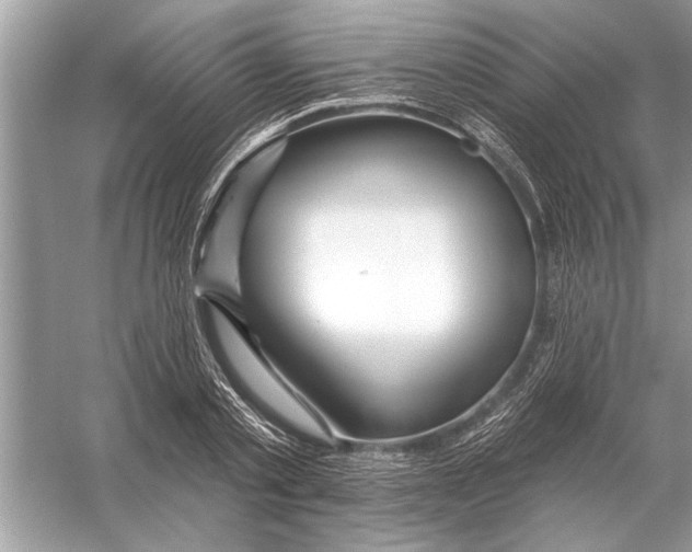 X0000055990789200509162250