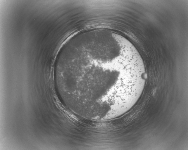 X0000055990790200509162250