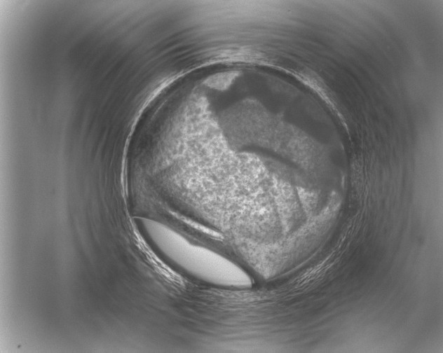 X0000055990791200509162250