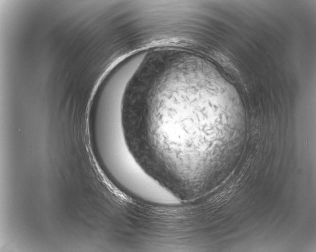 X0000055990792200509162250