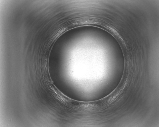 X0000055990793200509162250