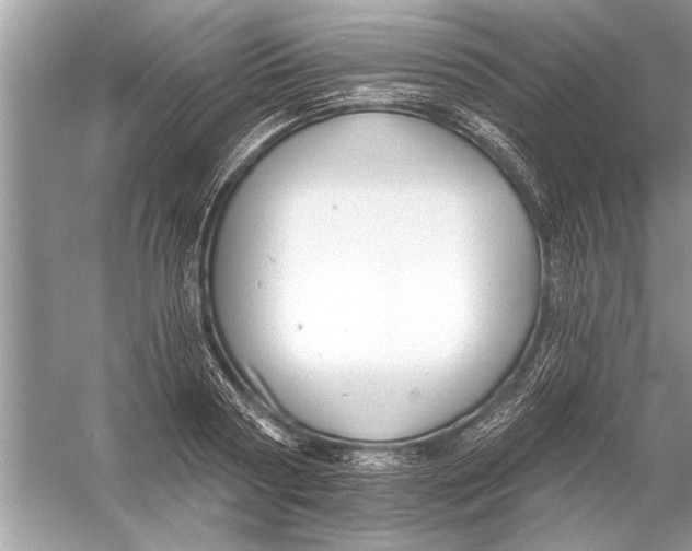 X0000055990794200509162250