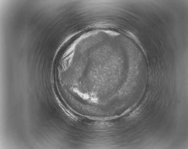 X0000055990795200509162250