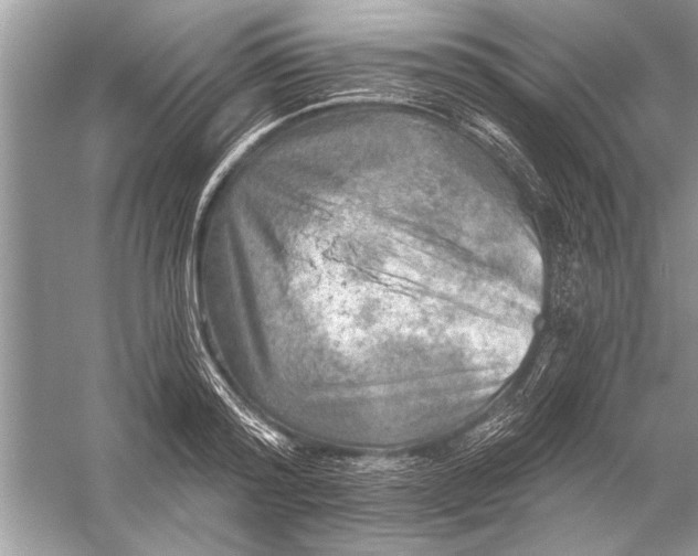 X0000055990796200509162250