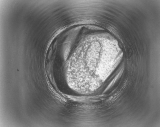 X0000055990797200509162250