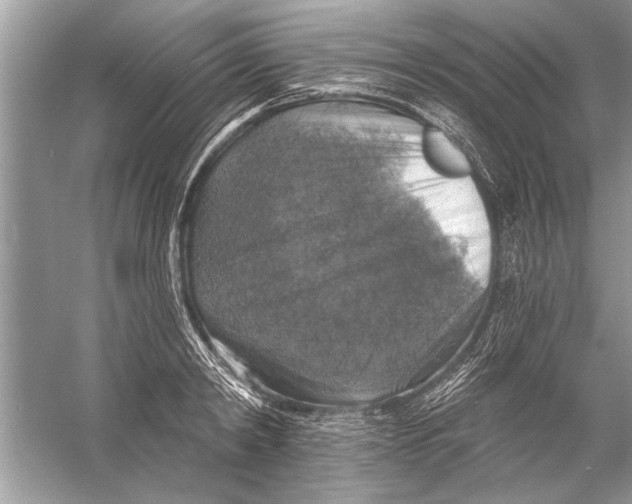 X0000055990798200509162250