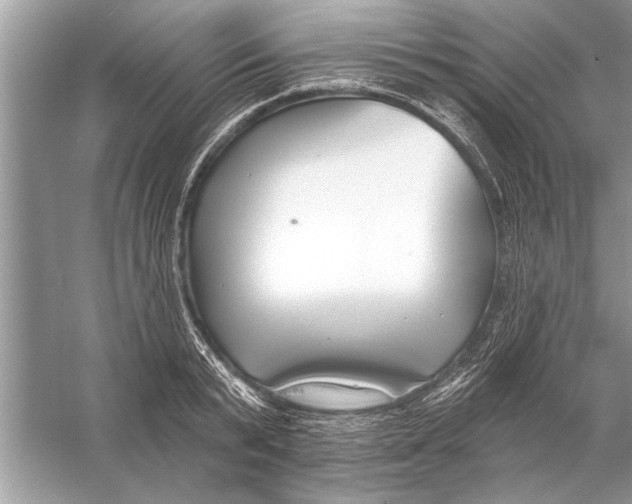 X0000055990799200509162250