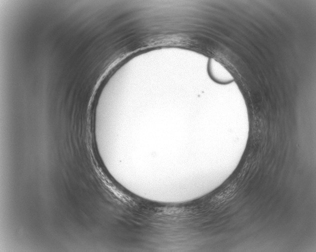 X0000055990800200509162250