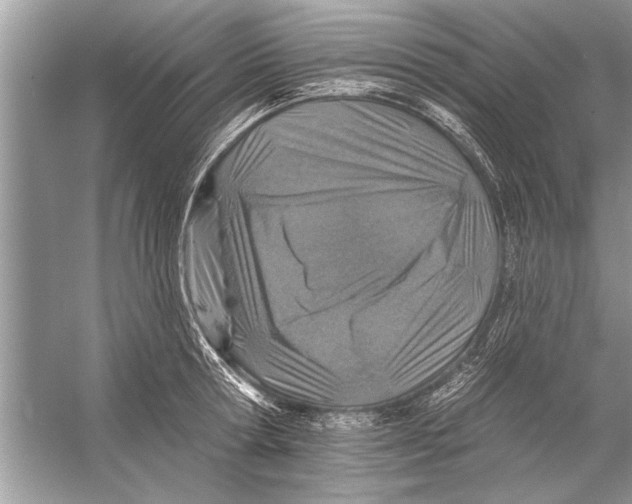 X0000055990802200509162250