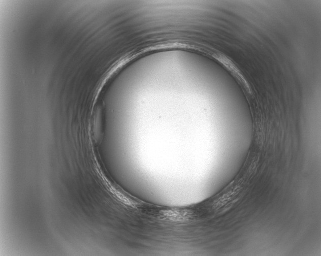 X0000055990805200509162250