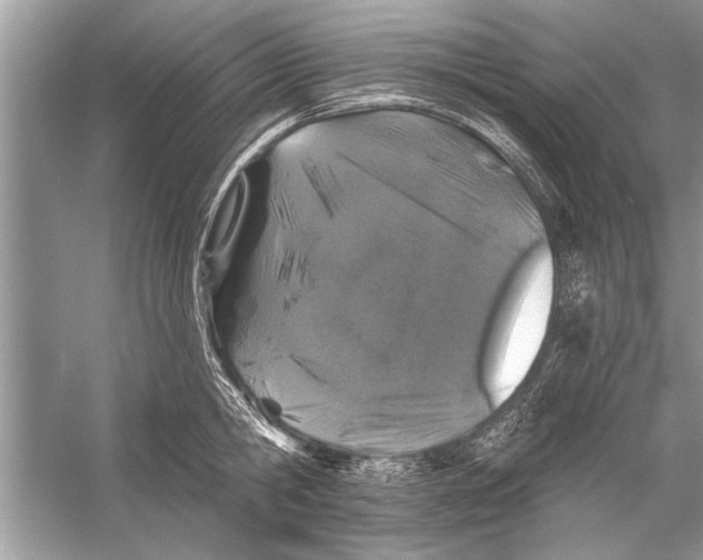 X0000055990806200509162250