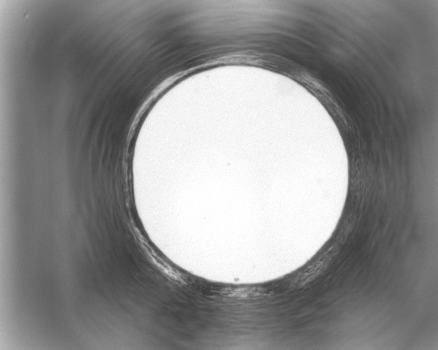 X0000055990808200509162250