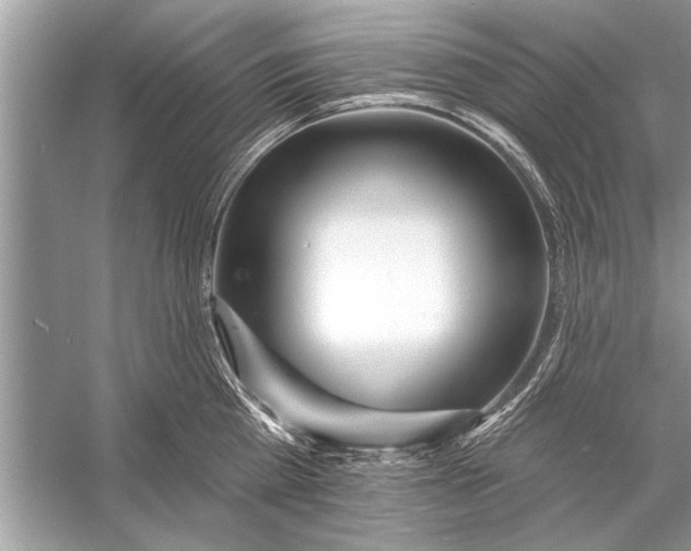 X0000055990809200509162250