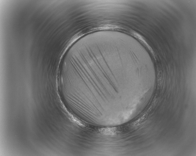 X0000055990810200509162250