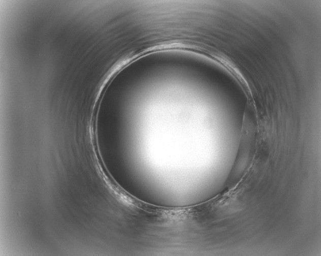 X0000055990813200509162250